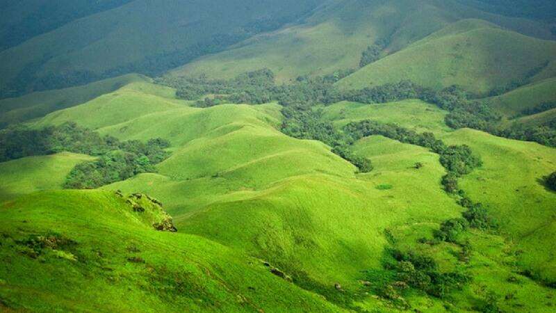 a peaceful hill station in India- Coorg