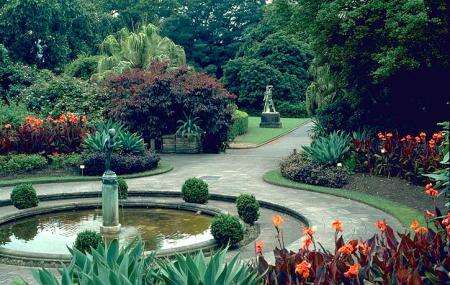 Sydney Royal Botanic Gardens Image