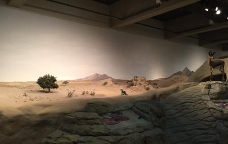 Sharjah Natural History Museum And Desert Park Image